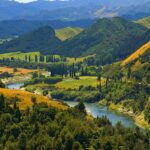 Rechte der Natur – weltweit und in Deutschland