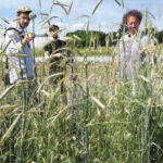 Agenda 2030 Kino: Film "Ernte teilen"