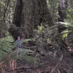 Wälder der Erde, Teil II: Vom Rande der Arktis bis in die Tropen