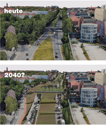 Berohte Bäume markieren - gegen den Ausbau des Frankenschnellwegs!