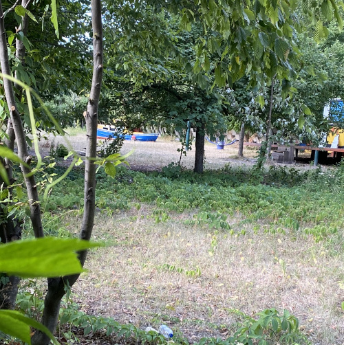 Aki / Aktivspielplatz Südstadtinsel