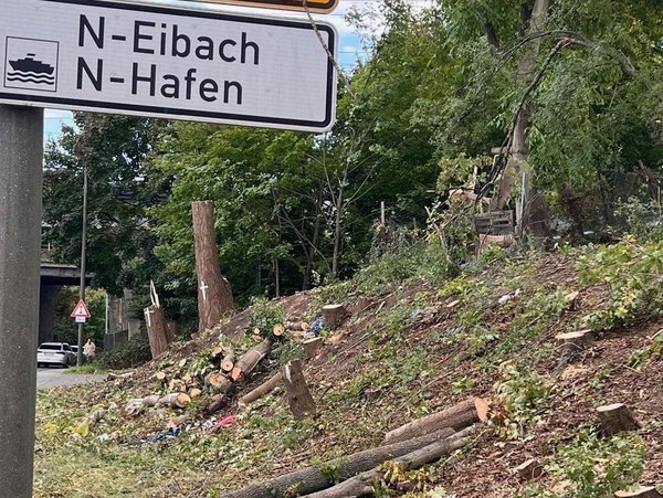 Am linken Bildrand Hinweisschilder am Frankenschnellweg; der Großteil des Bildes ein Hang mit abgeholzten Bäumen