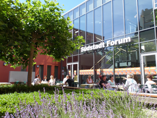 Förderung des Radverkehrs auf Kosten von Bäumen?