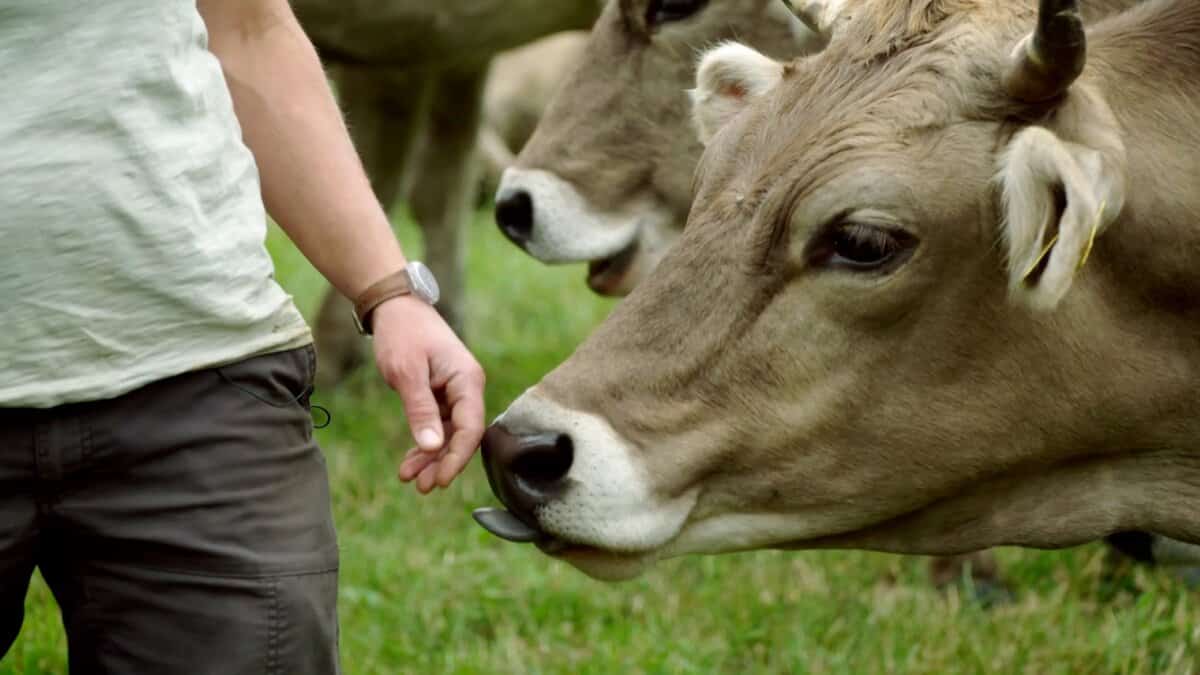 [Agenda 2030 Kino] Die zärtliche Revolution