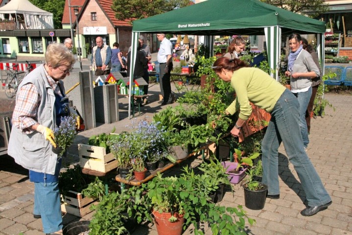 Pflanzentauschbörse Zabo