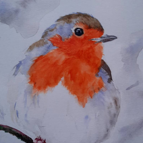 Mit offenen Ohren und Herzen: Die Magie, Vogelgesänge zu entdecken