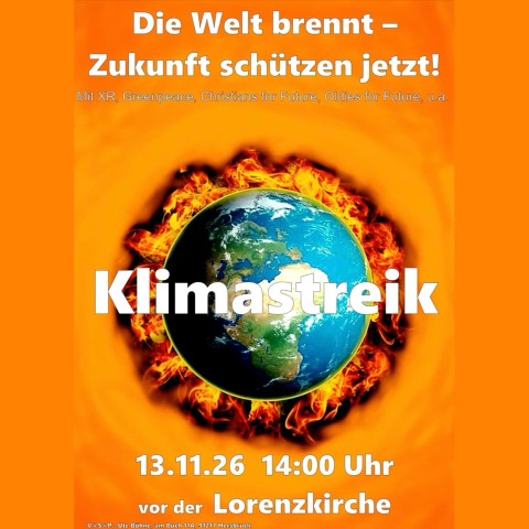 Klimastreik Nürnberg | Die Welt brennt - Zukunft schützen jetzt!